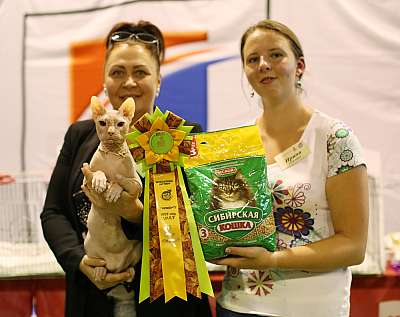 �������� ����� 20-21 �������� 2014 WCF-����� 8-233-169A2340 copy.jpg